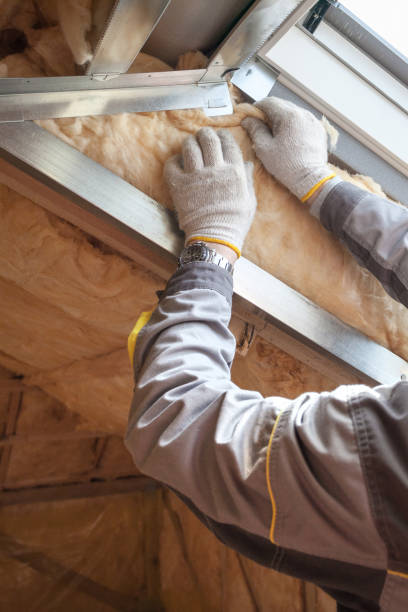 Best Insulation Maintenance and Repair in Columbus, MN