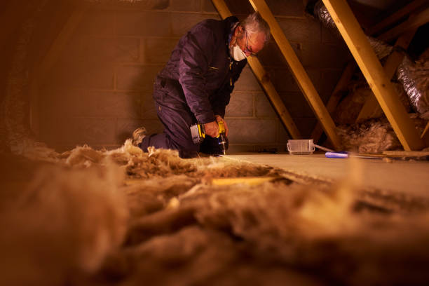 Best Specialty Insulation in Columbus, MN